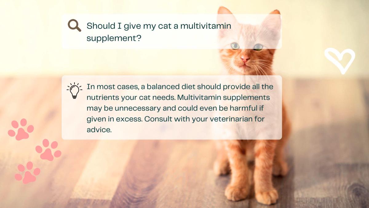 CAN YOU HAVE A CAT AND CHICKENS? BABY CHICKS FIRST DAY OUT