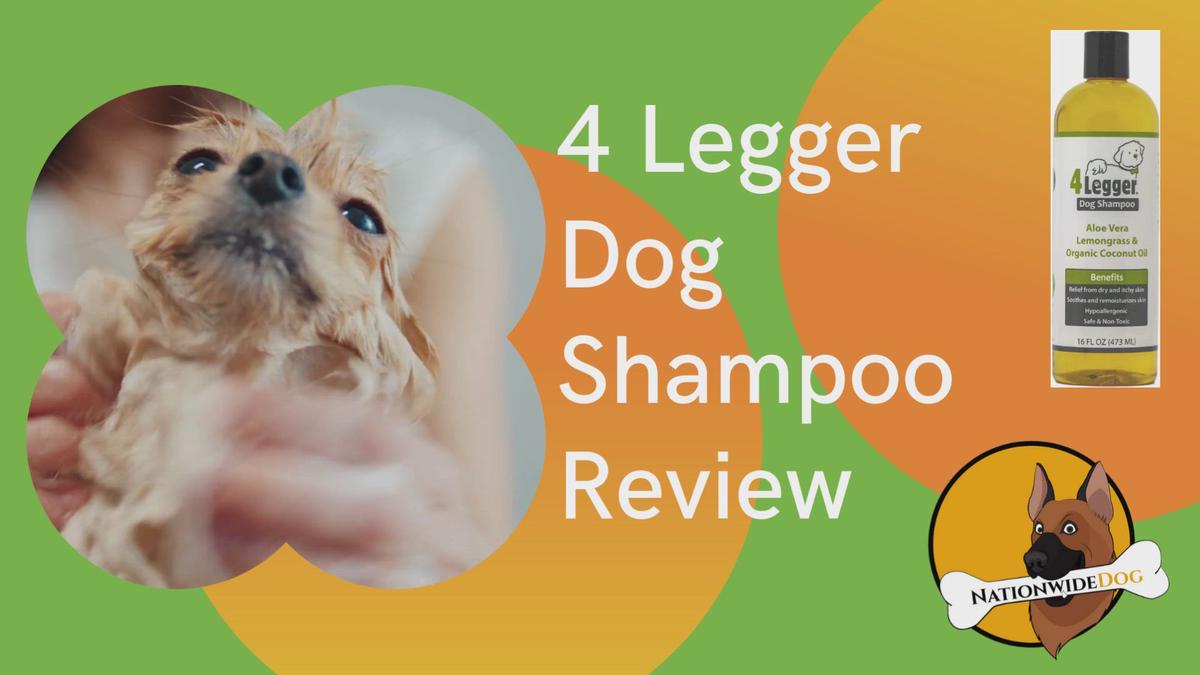 'Video thumbnail for 4 Legger Dog Shampoo Review'