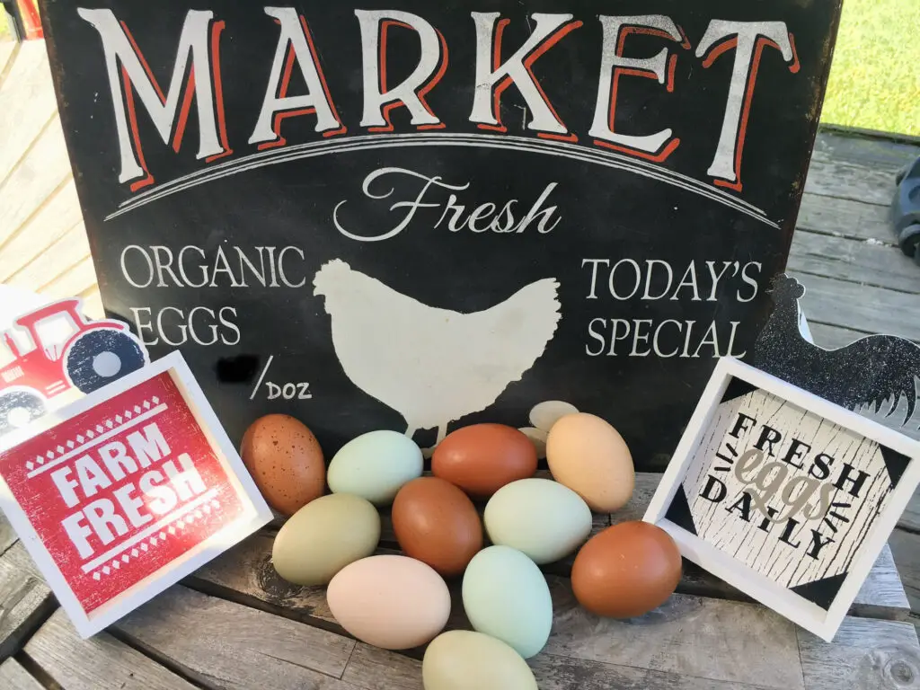 Farm fresh organic eggs in basket