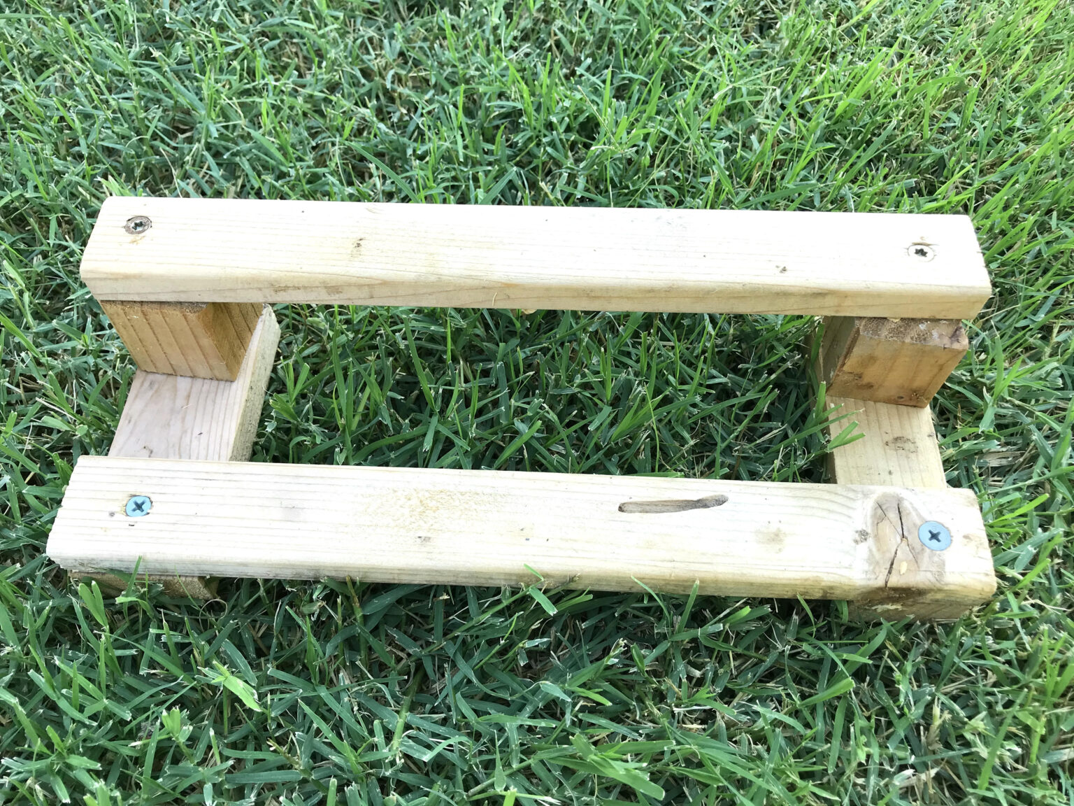 6 Week Guide How to Raise Healthy Baby Chicks