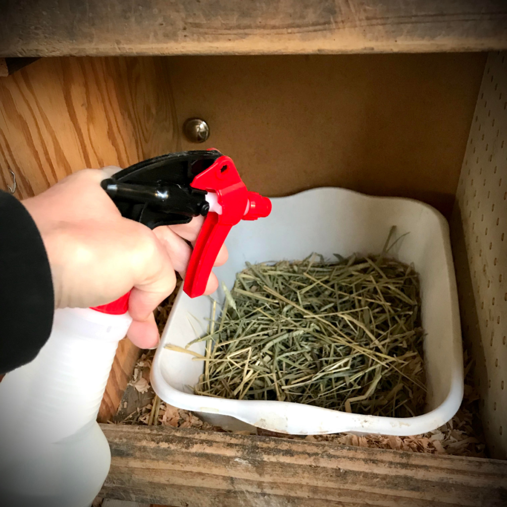 Spray Bottle ACV-Clean-Coop-Nest-Boxes Dollar Store Chicken Supplies. Get rid of mites on chickens.
