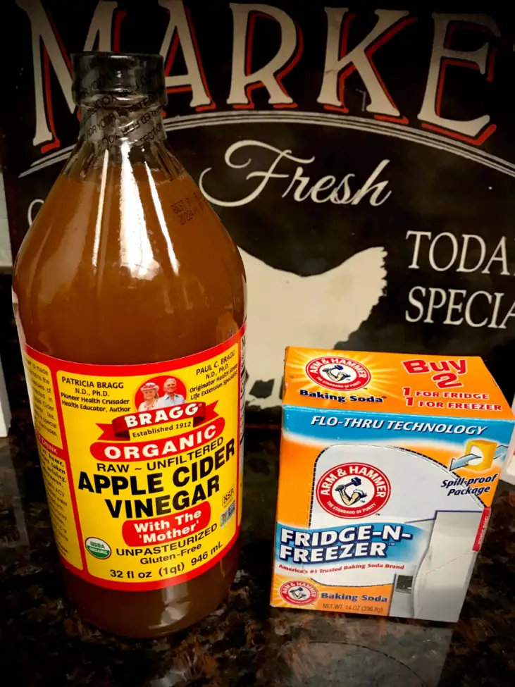 Apple Cider Vinegar and Baking Soda for cleaning the incubator