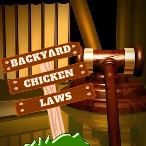 BACKYARD CHICKEN LAWS