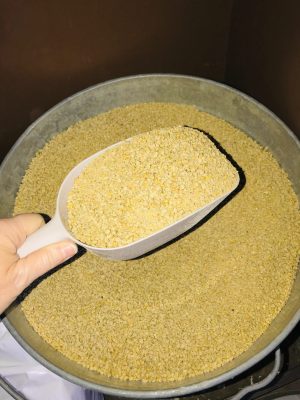 Provide proper feed...Layers Pellets, crumbles or mash. Pet Scoop - Dollar Store Chicken Supplies