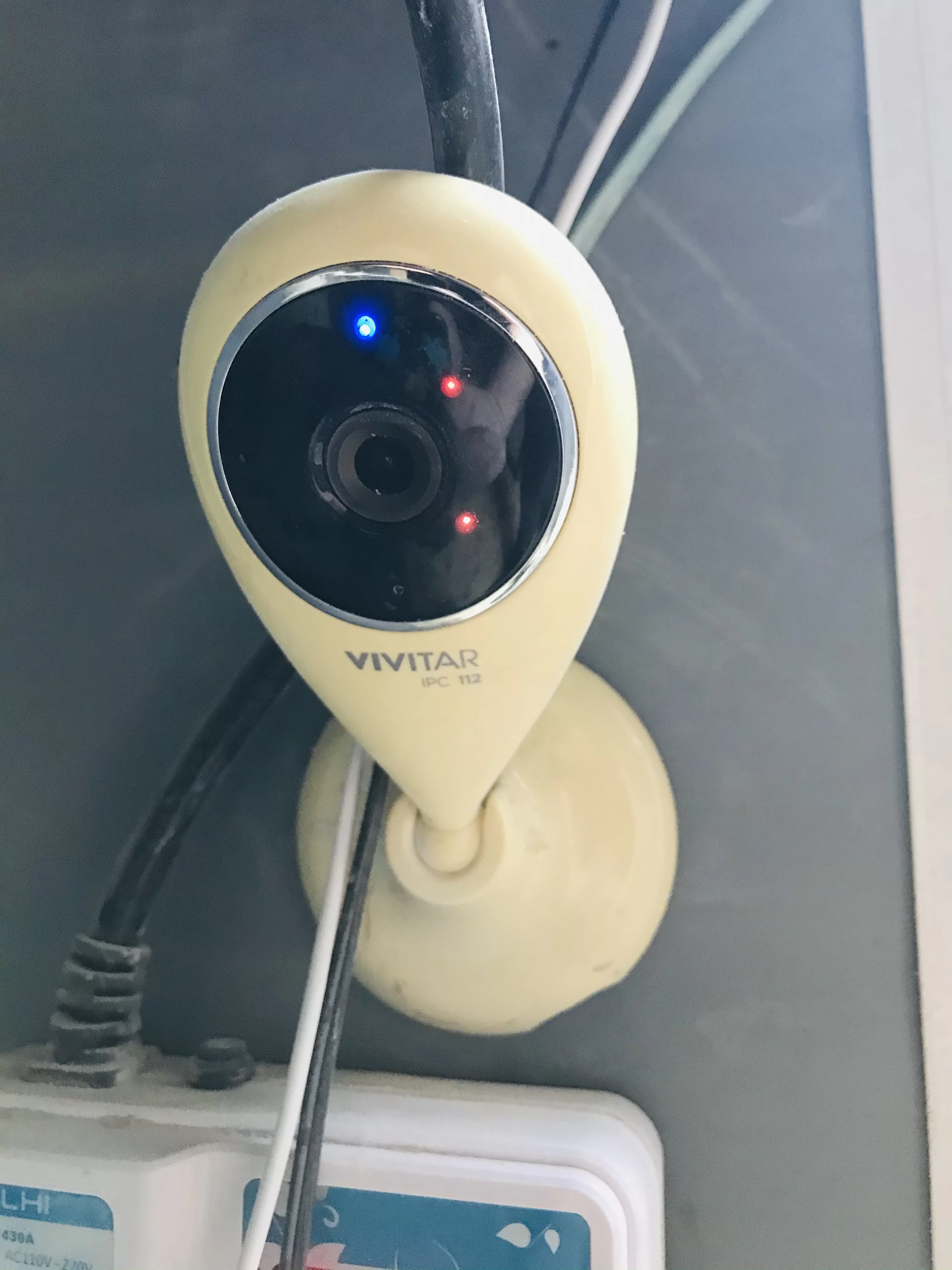 Video Surveillance Camera for Chicken Coop