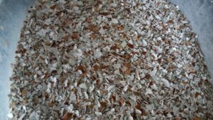 crushed egg shells for chickens