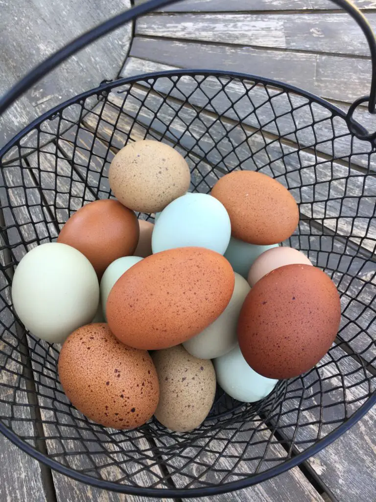 Colorful Basket of farm fresh eggs