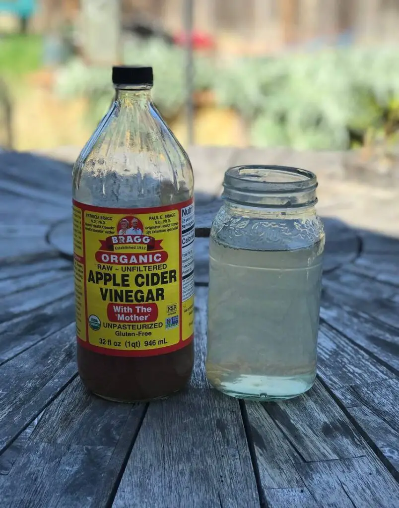 ACV and Water. Rinse seeds with apple cider vinegar and water.