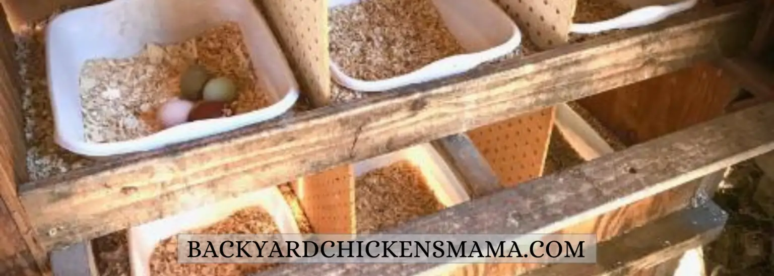 Simple Guide to Setting Up the Best Hen Nesting Boxes