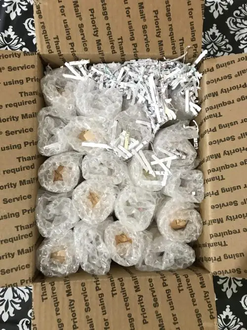 Shipped Eggs Bubble Wrapped Eggs