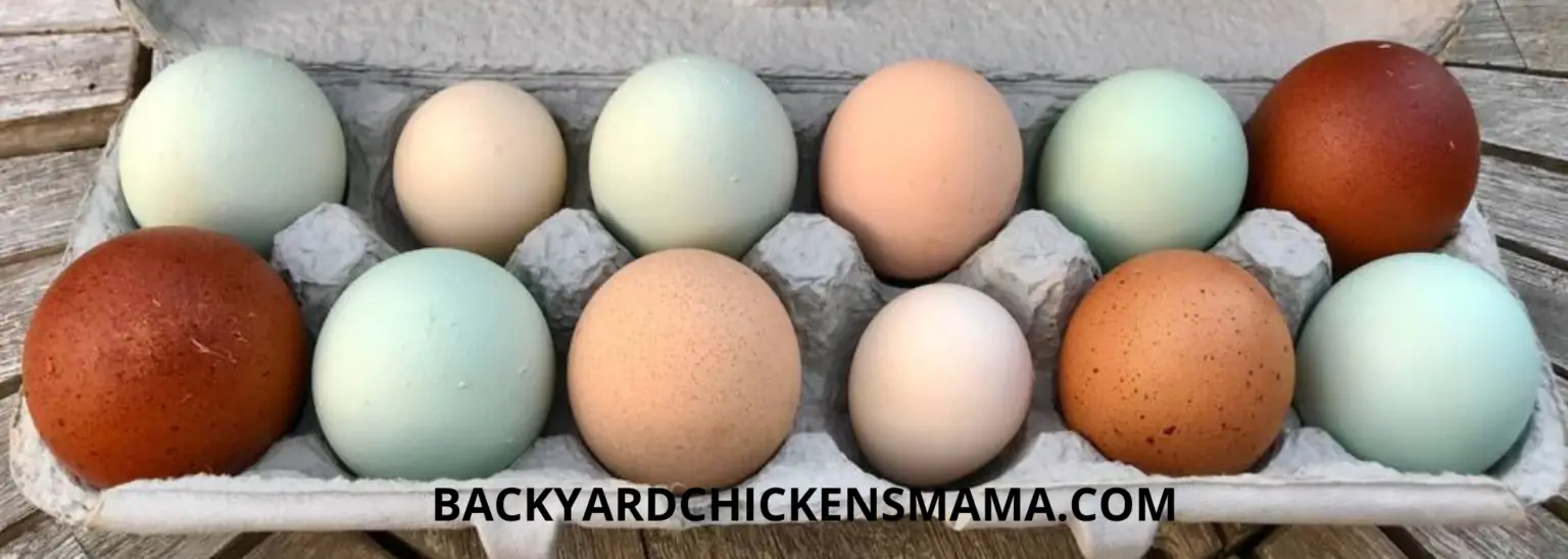 Why Storing Eggs on Your Countertop Can Make You Sick