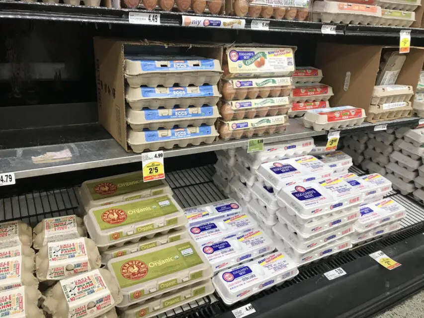 9 Important Facts How Long Are Chicken Eggs Good For?