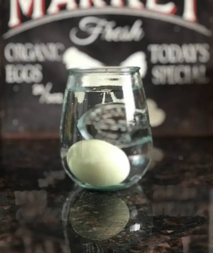 9 Important Facts How Long Are Chicken Eggs Good For?