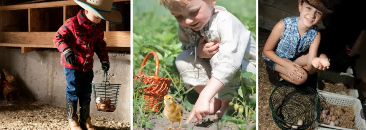 11 IMPORTANT WAYS RAISING CHICKENS WILL BENEFIT YOUR KIDS