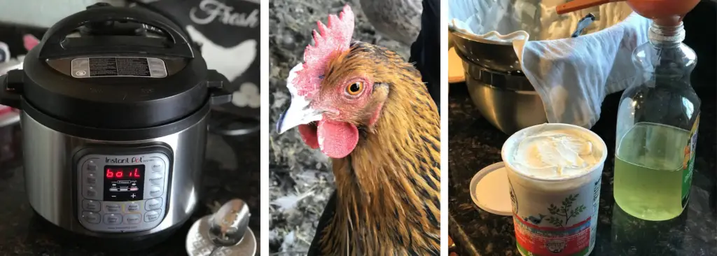 Homemade Instant Pot Yogurt for Chickens