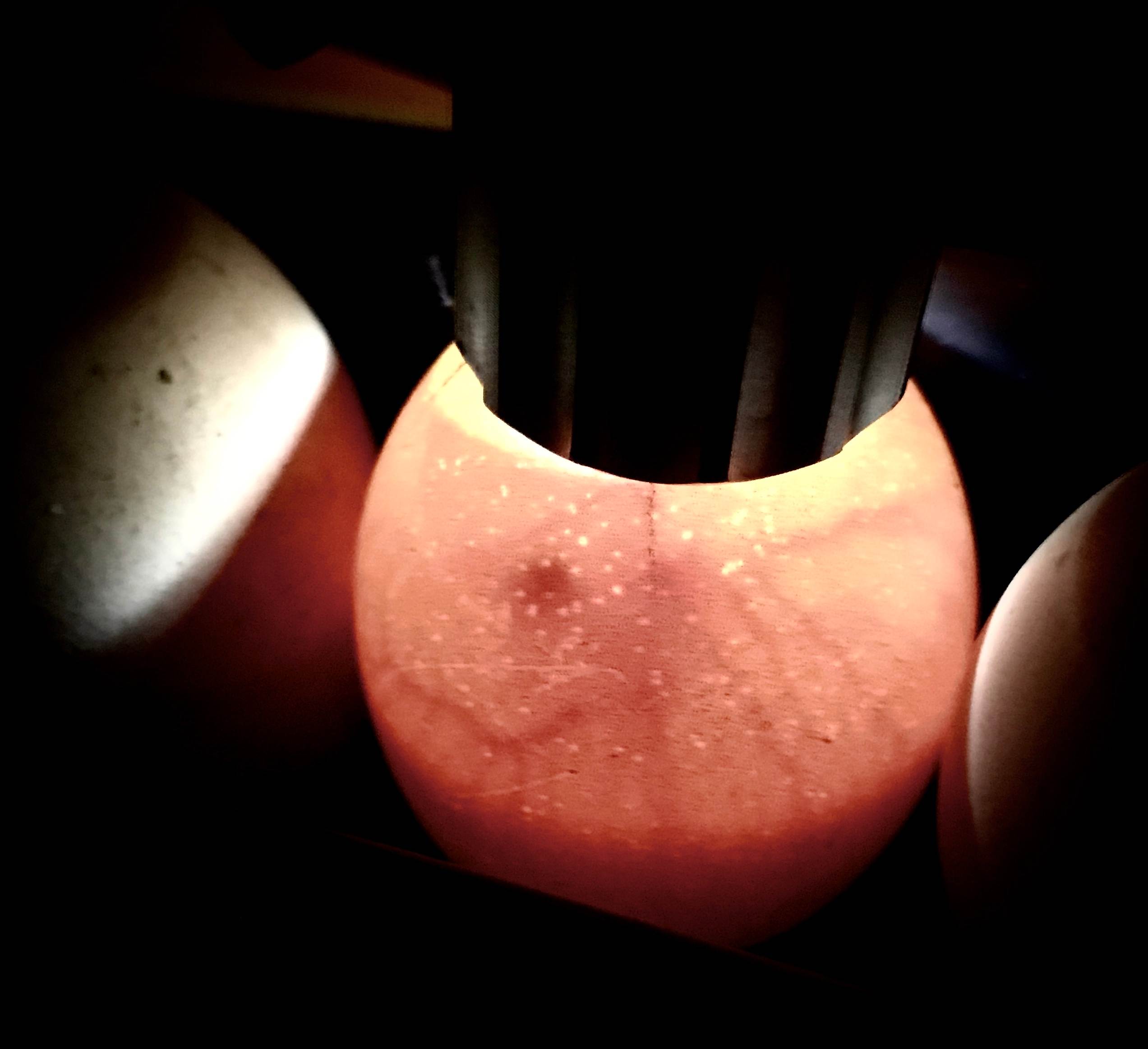 11 Best Tips How to Properly Candle Chicken Eggs