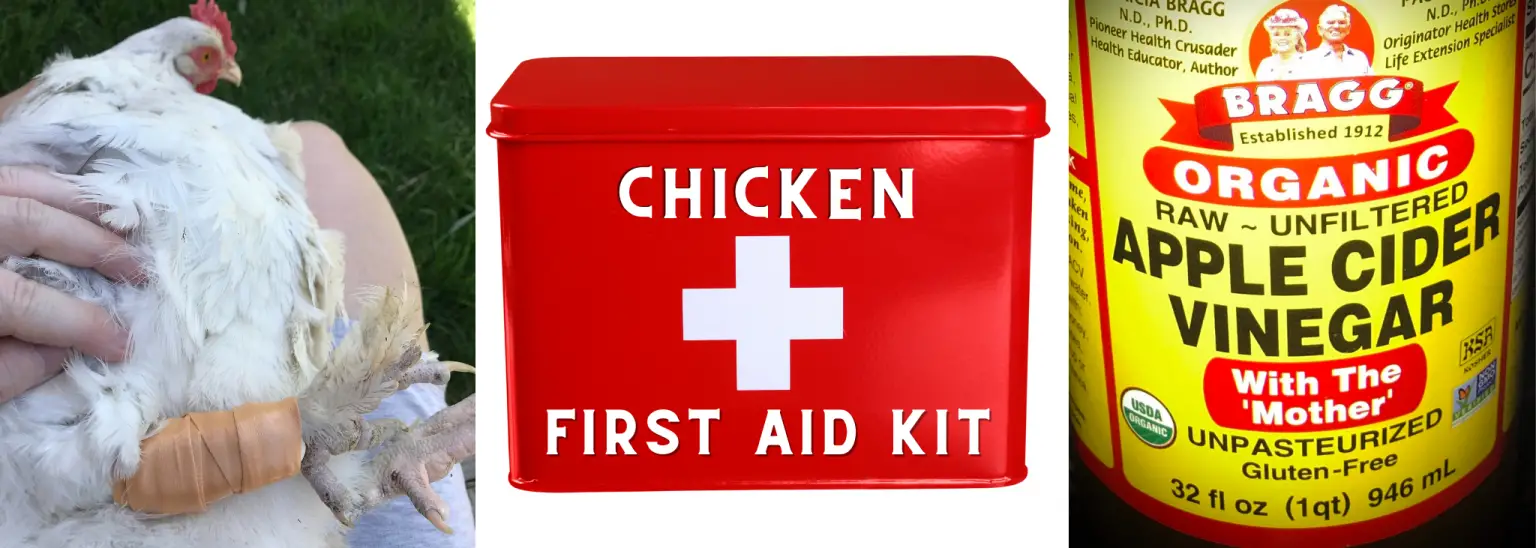 What Do I Need in My Chicken First Aid Kit?
