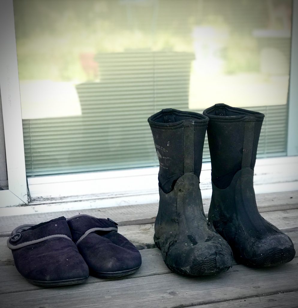 DON'T WEAR COOP BOOTS IN HOUSE