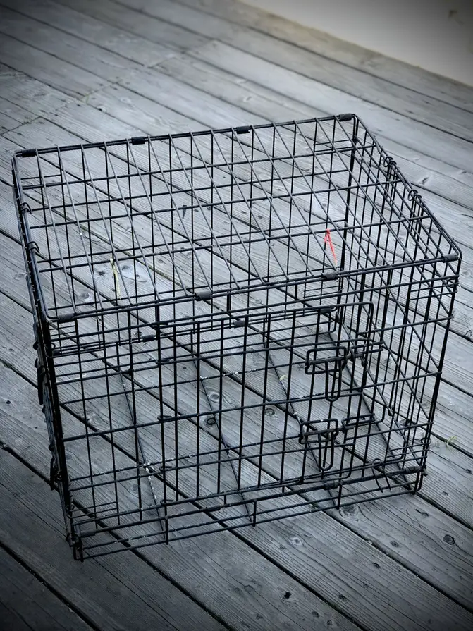 A LARGE WIRE DOG CRATE WILL MAKE A GREAT "CHICKEN JAIL."