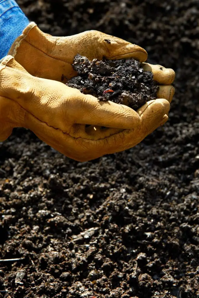 IS COMPOST TO WET OR DRY