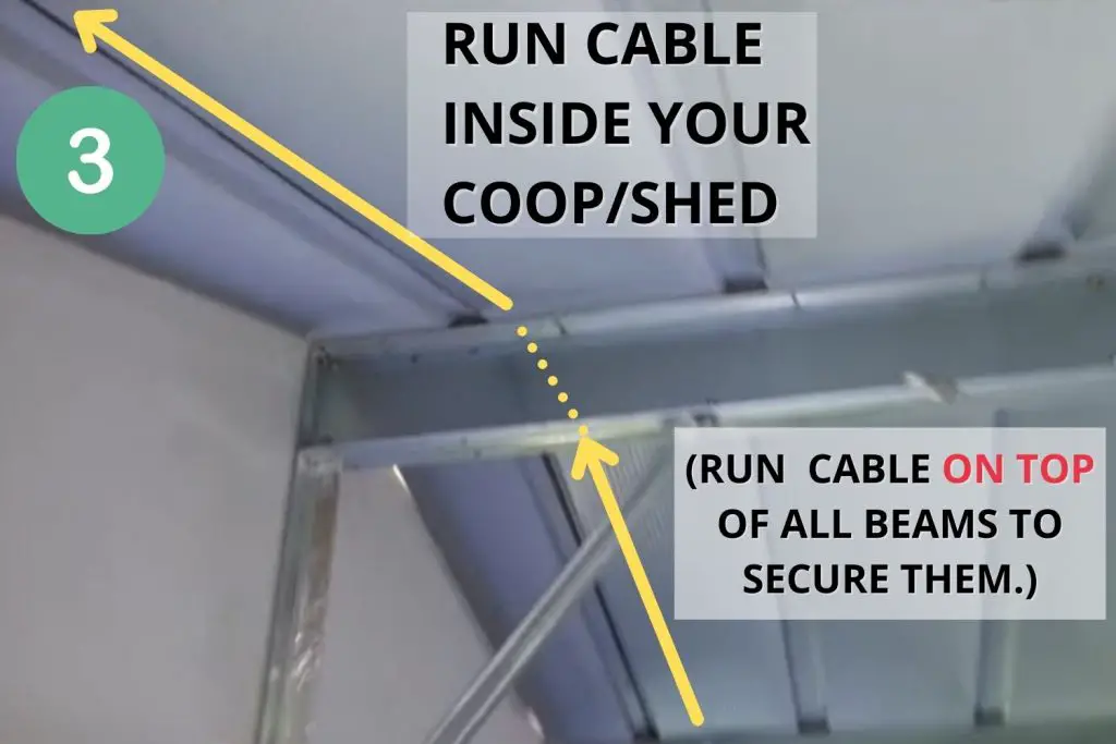 Run cable inside your coop, on top of all beams to secure them.