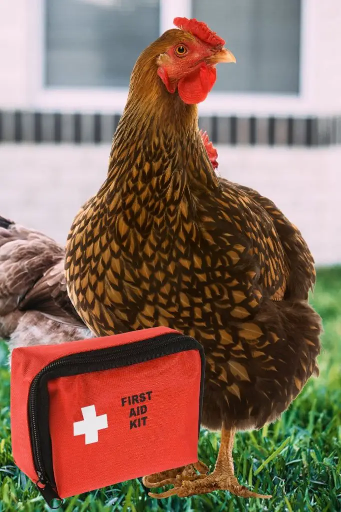 KEEP A FIRST AID KIT IN YOUR "GRAB AND GO" BUCKET FOR YOUR FLOCK.