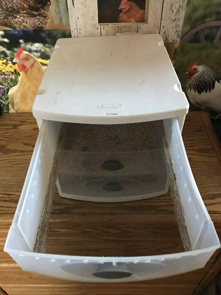 Modify top shelf for mealworm farm.  This is for the darkling beetle.  Eggs will fall through the screen to the second shelf. Learn how to breed mealworms at home.