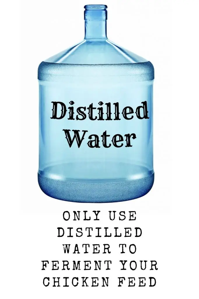 ONLY USE DISTILLED WATER TO MAKE FERMENTED CHICKEN FEED