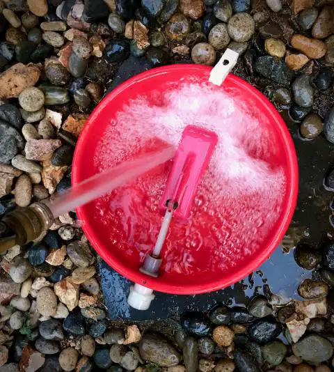 IT IS ALWAYS BEST TO DUMP CHICKEN WATER OUT DAILY (WATER YOUR PLANTS WITH IT) INSTEAD OF TOPPING IT OFF.