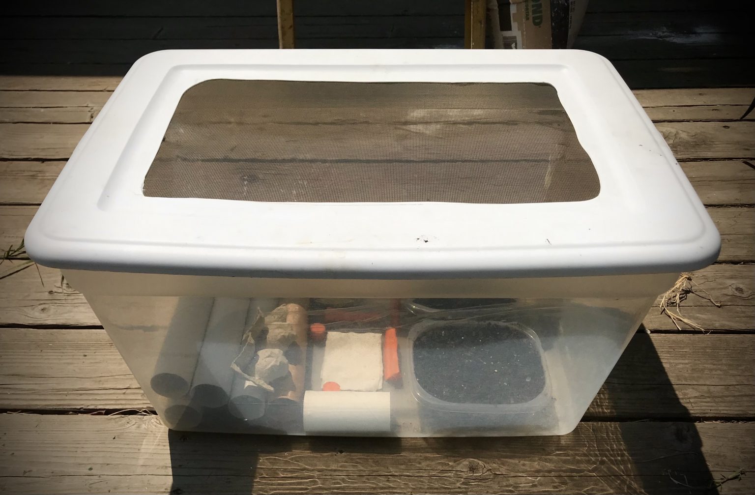 CRICKETFARMSETUP FOR HOME BREEDING Backyard Chickens Mama