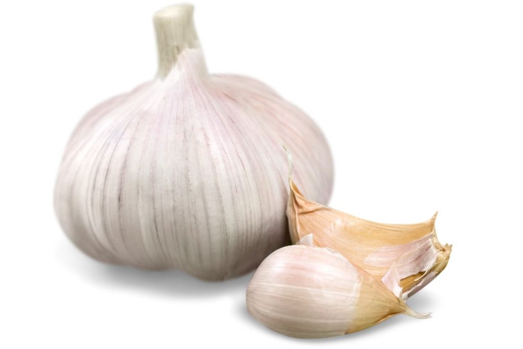 GARLIC-CLOVES FOR CHICKEN PARASITE CONTROL