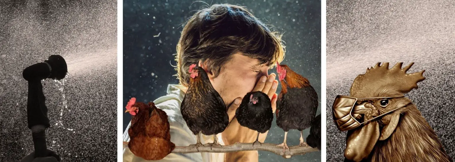 How to Keep Chicken Coop Dust Down 9 Best Tips