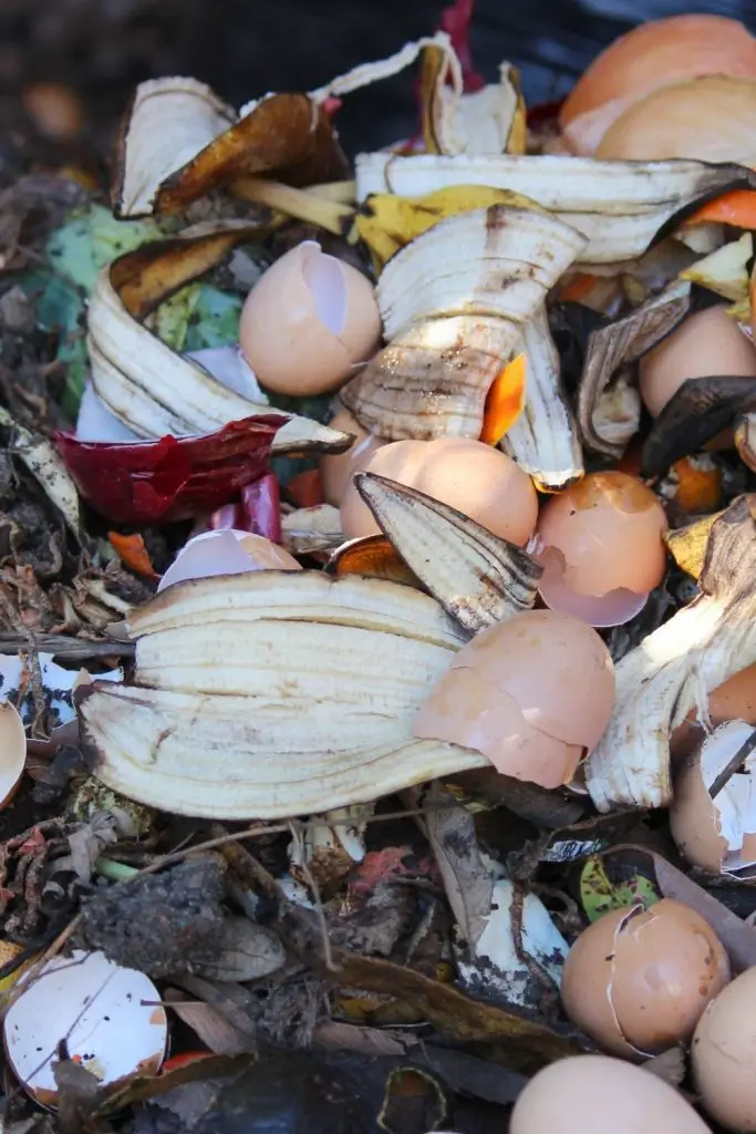ADD EGG SHELLS TO YOUR COMPOST PILE.
