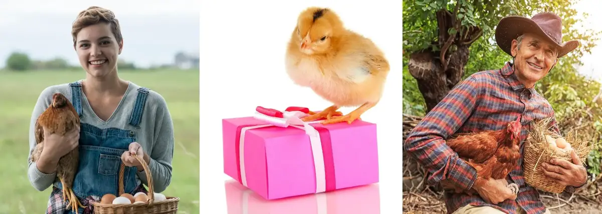  LOS MEJORES REGALOS PARA LOS AMANTES DE LOS POLLOS