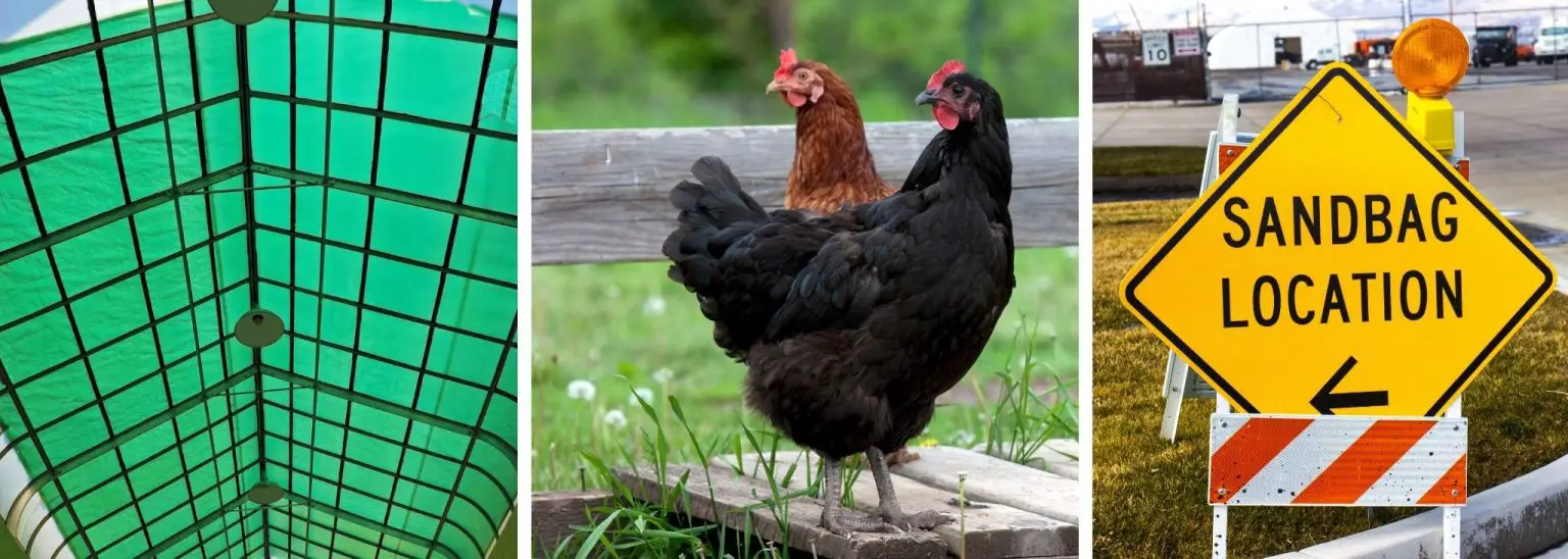 9 Simple Ways How to Fix a Muddy Chicken Run