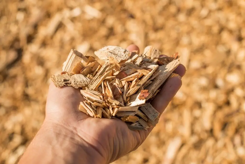 WOOD CHIPS ARE A GOOD BEDDING TO USE IN A CHICKEN RUN TO HELP AVOID A MUDDY FLOOR.