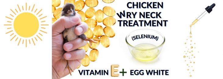 WRY NECK TREATMENT BANNER