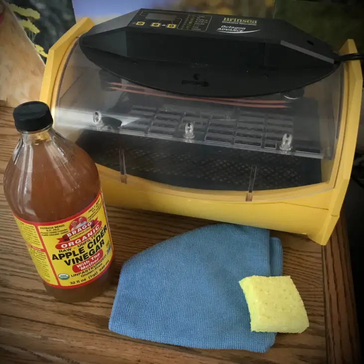 ACV Cleaning Incubator 1200 x 1200 Backyard Chickens Mama