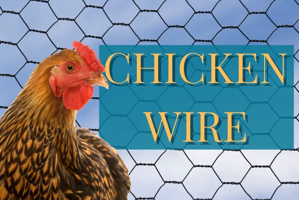 Using Chicken Wire fencing to protect your chickens from predators.