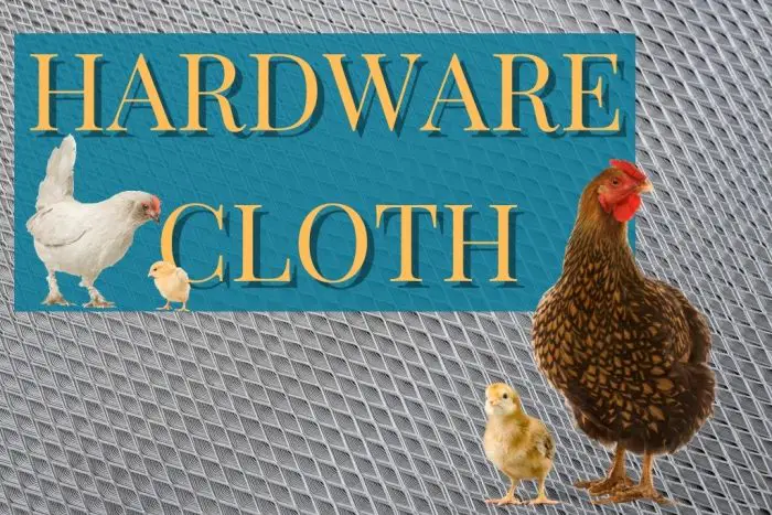 DETER RATS BY USING HARDWARE CLOTH INSTEAD OF CHICKEN WIRE.