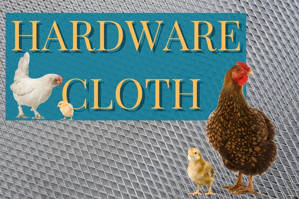 Using Hardware Cloth to protect your chickens. Best fencing to protect chickens.