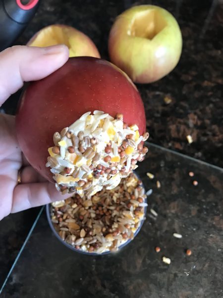 Apple Yogurt Scratch Treat for Chickens