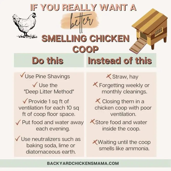 IFYOUREALLYWANTABETTERSMELLINGCHICKENCOOP. Backyard Chickens Mama