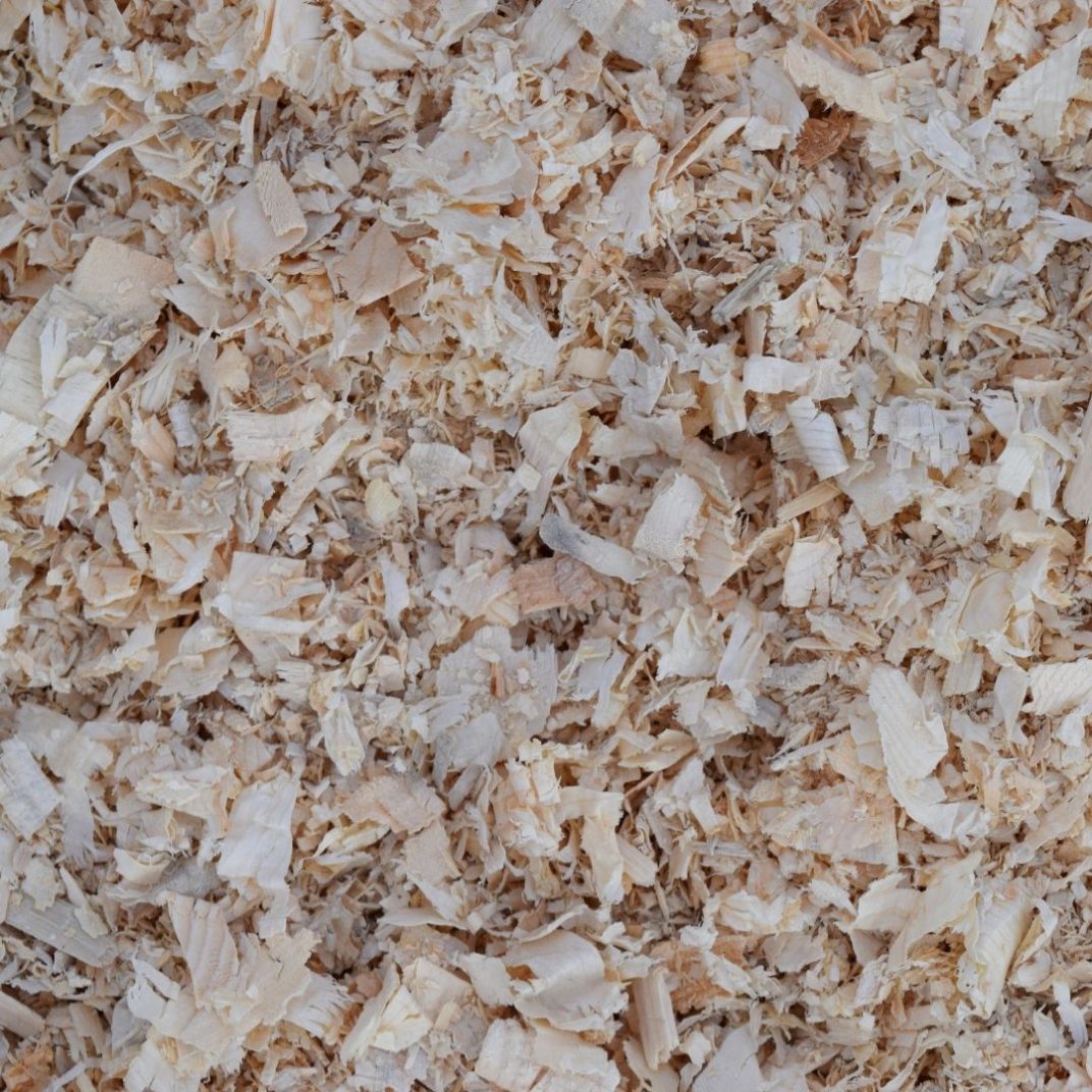 Can Pine Shavings Be Used For Chickens at Wilbert Spears blog