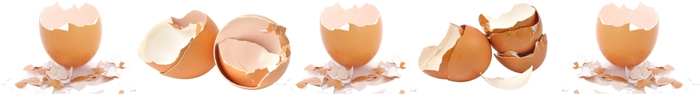 EGGSHELLS
