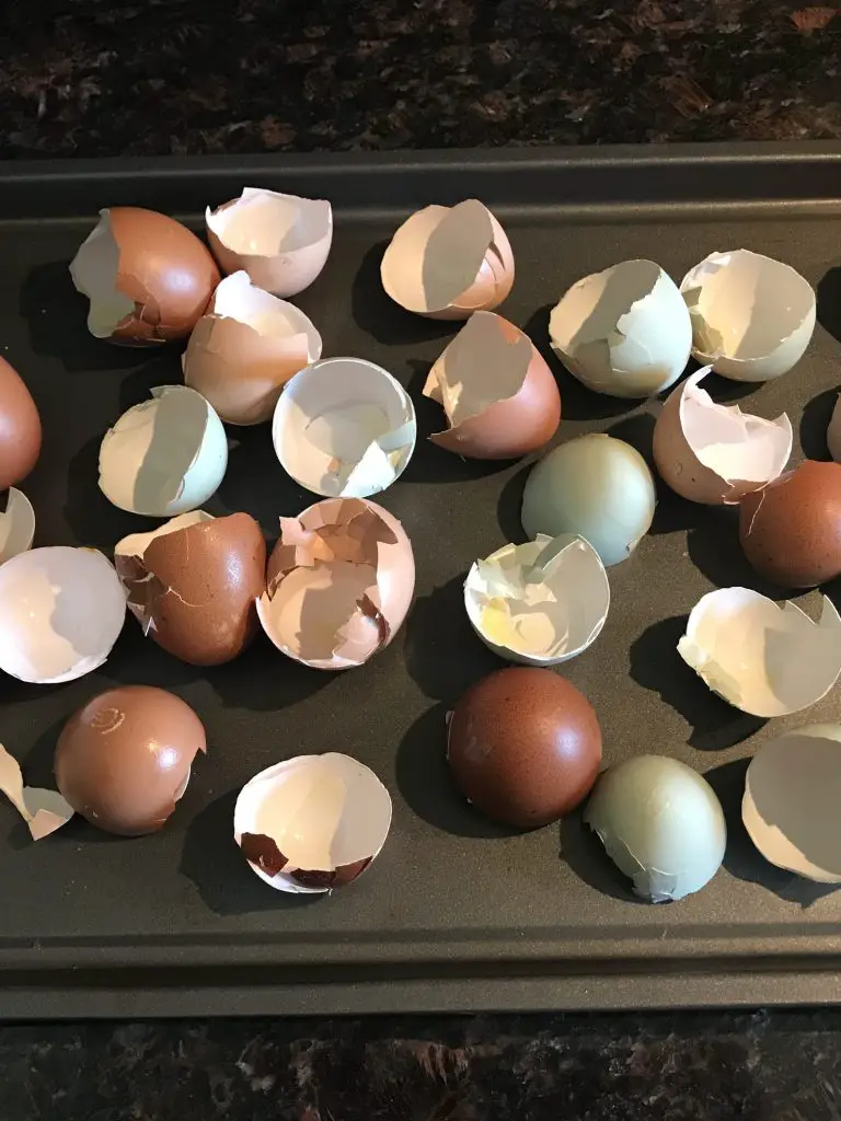 EGGSHELLS-BAKING