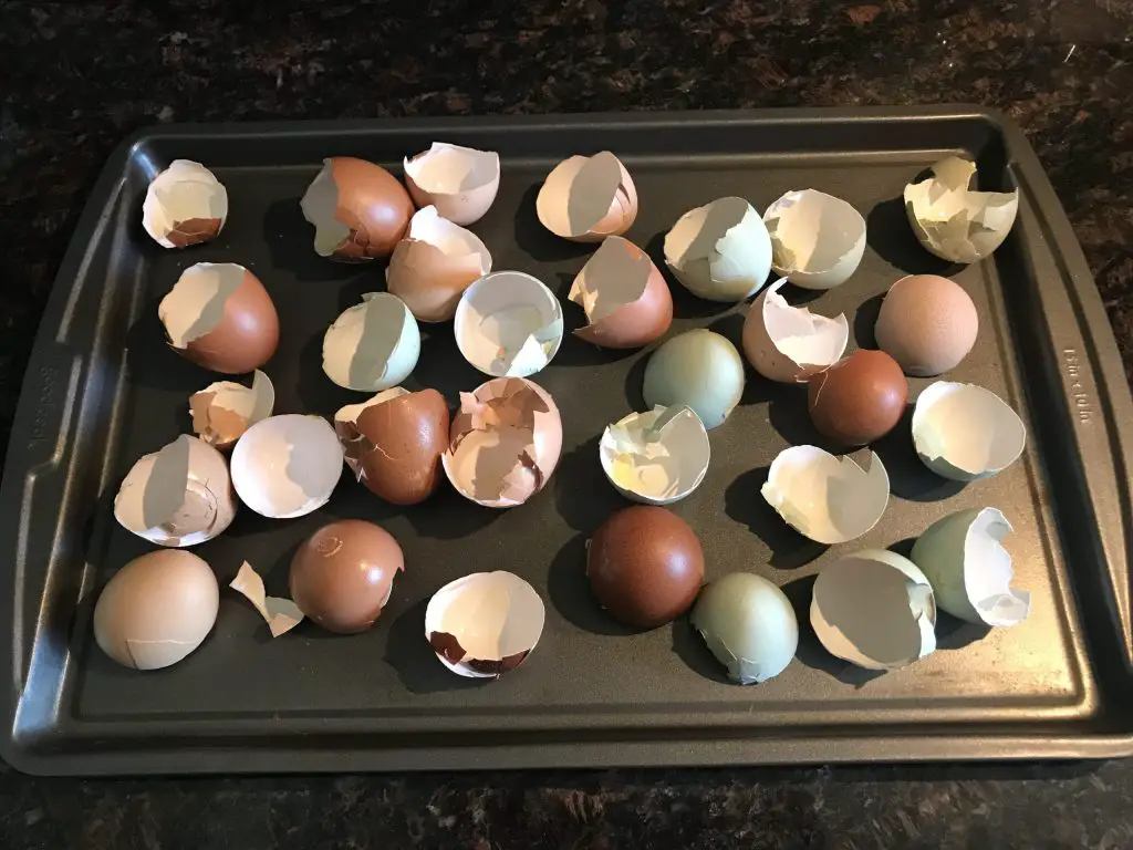 CRUSHED EGGSHELLS ON BAKING TRAY