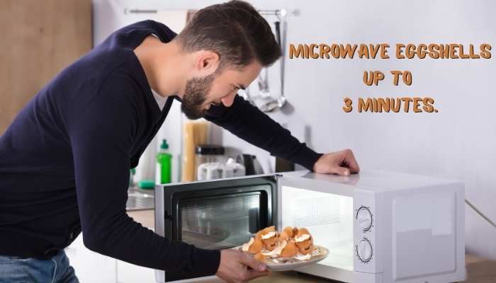 MICROWAVE EGGSHELLS UP TO 3 MINUTES TO DRY AND SANITIZE THEM.