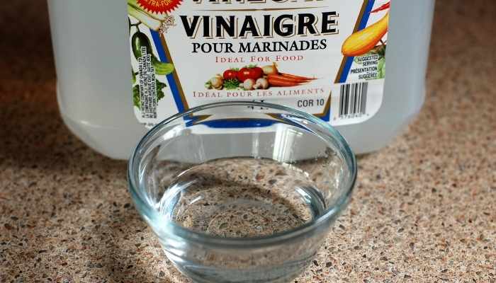 ADD VINEGAR TO POWDERED EGGSHELLS TO MAKE CALCIUM READILY AVAILABLE TO YOUR GARDEN FLOWERS, PLANTS, FRUITS AND VEGETABLES.