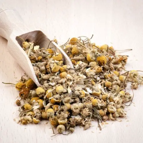 DRIED CHAMOMILE